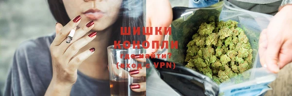 шишки Заволжье