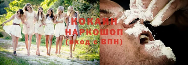 мескалин Заводоуковск