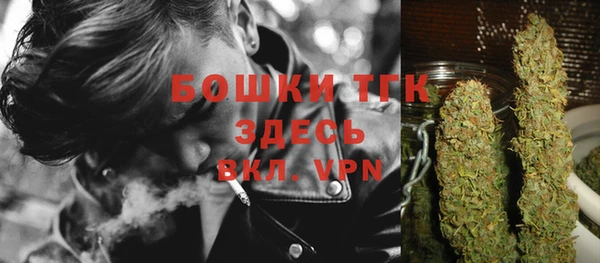 PSILOCYBIN Заволжск