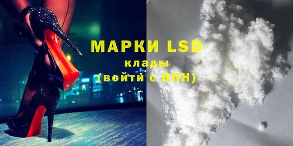 шишки Заволжье