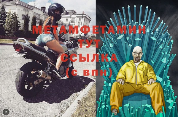 шишки Заволжье