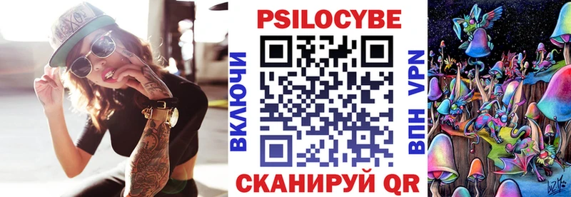 Галлюциногенные грибы Psilocybe Купить где Багратионовск